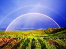 情感有哪几种,情感世界的七色彩虹